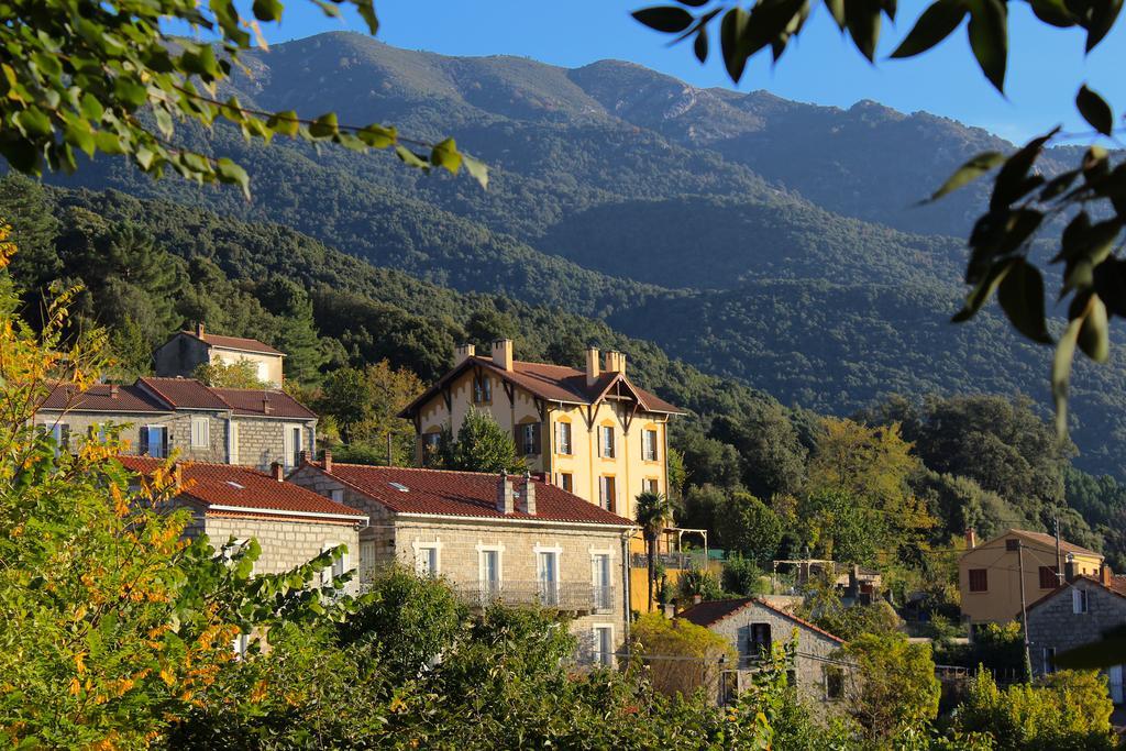 Gite Du Chalet Pietri Olivese Экстерьер фото